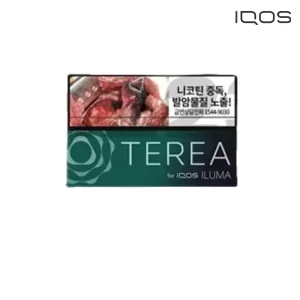 【14種口味】韓版IQOS 煙彈 適配ILUMA  加熱菸主機 整條煙(10包) - 黑薄荷